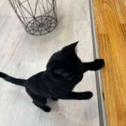 ヒメ日記 2026/01/30 06:40 投稿 こころ アート姫