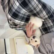 ヒメ日記 2026/02/01 11:15 投稿 こころ アート姫