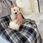 ヒメ日記 2026/02/20 08:22 投稿 こころ アート姫