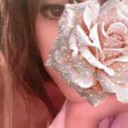 ヒメ日記 2026/05/13 09:06 投稿 結城　セリナ Amateras～アマテラス～