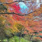 ヒメ日記 2025/11/24 18:05 投稿 西野　夏美 Amateras～アマテラス～