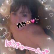 ヒメ日記 2025/11/25 07:28 投稿 西野　夏美 Amateras～アマテラス～