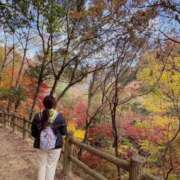 ヒメ日記 2025/11/26 22:19 投稿 西野　夏美 Amateras～アマテラス～