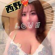 ヒメ日記 2025/11/30 10:04 投稿 西野　夏美 Amateras～アマテラス～