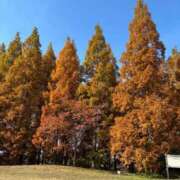 ヒメ日記 2025/12/01 09:45 投稿 西野　夏美 Amateras～アマテラス～