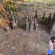 ヒメ日記 2025/12/03 01:52 投稿 西野　夏美 Amateras～アマテラス～