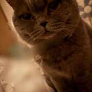 ヒメ日記 2025/12/07 15:20 投稿 西野　夏美 Amateras～アマテラス～