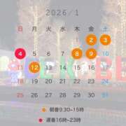 ヒメ日記 2025/12/16 20:14 投稿 西野　夏美 Amateras～アマテラス～