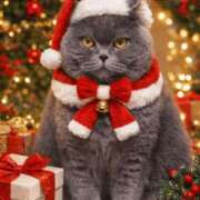 ヒメ日記 2025/12/24 20:46 投稿 西野　夏美 Amateras～アマテラス～