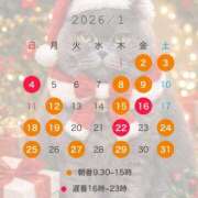 ヒメ日記 2026/01/03 15:46 投稿 西野　夏美 Amateras～アマテラス～