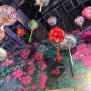 ヒメ日記 2026/02/02 08:12 投稿 西野　夏美 Amateras～アマテラス～