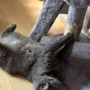 ヒメ日記 2026/02/22 15:45 投稿 西野　夏美 Amateras～アマテラス～