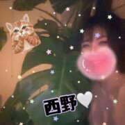 ヒメ日記 2026/03/02 07:29 投稿 西野　夏美 Amateras～アマテラス～