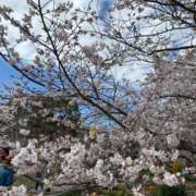ヒメ日記 2026/04/05 18:18 投稿 西野　夏美 Amateras～アマテラス～