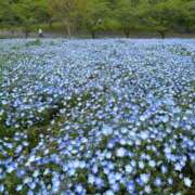 ヒメ日記 2026/04/29 19:47 投稿 西野　夏美 Amateras～アマテラス～