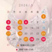 ヒメ日記 2026/05/11 09:52 投稿 西野　夏美 Amateras～アマテラス～