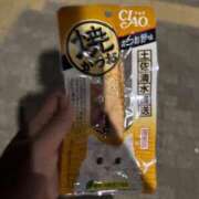 西野　夏美 野良猫追いかける西野 Amateras～アマテラス～