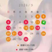 ヒメ日記 2026/09/01 15:45 投稿 西野　夏美 Amateras～アマテラス～