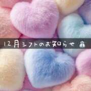 ヒメ日記 2025/11/25 12:15 投稿 枢木　夏芽 Amateras～アマテラス～