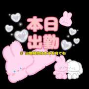 あまね 本日出勤致します✨ 船橋ときめき女学園