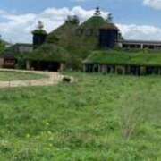 ヒメ日記 2025/11/22 10:24 投稿 神戸小春(こうべこはる） 五十路マダムエクスプレス厚木店(カサブランカグループ)