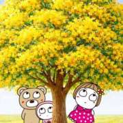 ヒメ日記 2026/03/03 11:18 投稿 神戸小春(こうべこはる） 五十路マダムエクスプレス厚木店(カサブランカグループ)