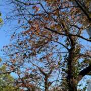 ヒメ日記 2025/12/11 15:06 投稿 ゆりな BAD COMPANY（バッドカンパニー）