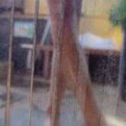 ヒメ日記 2026/03/30 12:55 投稿 かれん 大宮人妻デリヘル～大人の事情～