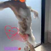 ヒメ日記 2026/04/01 07:55 投稿 かれん 大宮人妻デリヘル～大人の事情～