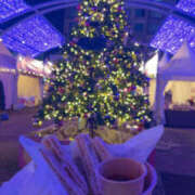 ヒメ日記 2025/12/15 21:05 投稿 ひめ NEW　KAWAII(ニューカワイイ）