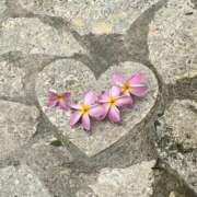 ヒメ日記 2025/11/14 12:15 投稿 山内 熟女の風俗最終章 横浜本店