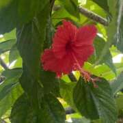 山内 山内です🎀 熟女の風俗最終章 横浜本店