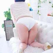 ヒメ日記 2026/02/09 18:04 投稿 山内 熟女の風俗最終章 横浜本店