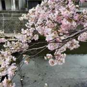 ヒメ日記 2026/03/28 12:48 投稿 山内 熟女の風俗最終章 横浜本店