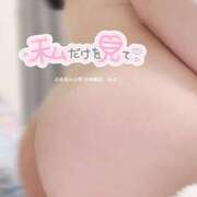 ヒメ日記 2025/12/20 15:11 投稿 みさ ぷるるん小町日本橋店