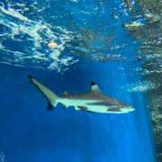 ヒメ日記 2025/11/24 17:39 投稿 りお 虹色メロンパイ 横浜店