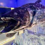 ヒメ日記 2025/12/22 21:52 投稿 りお 虹色メロンパイ 横浜店