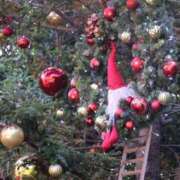 ヒメ日記 2025/12/25 20:11 投稿 りお 虹色メロンパイ 横浜店