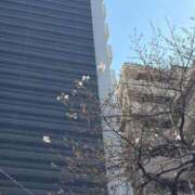 ヒメ日記 2026/03/21 17:30 投稿 りお 虹色メロンパイ 横浜店