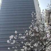 ヒメ日記 2026/03/27 16:04 投稿 りお 虹色メロンパイ 横浜店