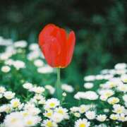 ヒメ日記 2026/04/12 19:44 投稿 りお 虹色メロンパイ 横浜店