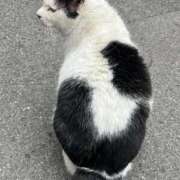 ヒメ日記 2025/12/07 07:50 投稿 ノア(極) 人妻生レンタル