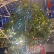 ヒメ日記 2025/12/18 19:20 投稿 ノア(極) 人妻生レンタル