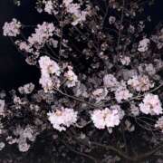 ヒメ日記 2026/04/03 16:07 投稿 りおん 土浦ハッピーマットパラダイス