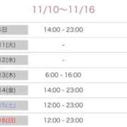 ヒメ日記 2025/11/10 17:56 投稿 みらん Evolution 2nd