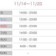 ヒメ日記 2025/11/14 19:44 投稿 みらん Evolution 2nd