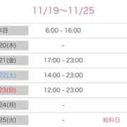 ヒメ日記 2025/11/19 12:22 投稿 みらん Evolution 2nd