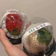 ヒメ日記 2026/01/13 16:44 投稿 みらん Evolution 2nd