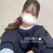 ヒメ日記 2026/03/27 19:02 投稿 みらん Evolution 2nd