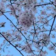 ヒメ日記 2026/04/04 19:47 投稿 奏えみう 五反田ウルトラファンタジー